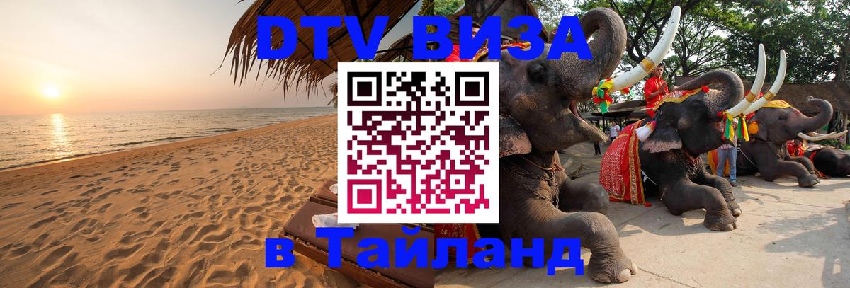 Оформление DTV визы под ключ: стоимость и тарифы, только загранпаспорт - Эр-Рияд 